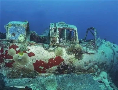 Research on Material Surface Corrosion and Protection Technologies: Corrosion and Protection in D...